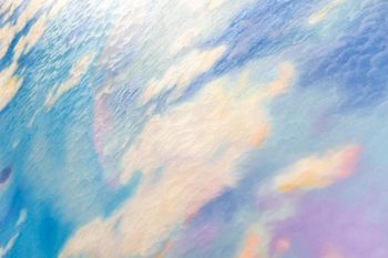 Painting and Photography – by Liane Lang