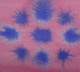 Droplets of Smalt ( Dumont’s Blue) over wet Rose Madder Genuine on Cold press paper